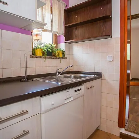 House Ruben بوريتش